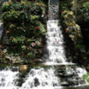 Meet your Posher, Harrison